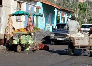 Horse Cart On A Side Street, Vinales, Cuba