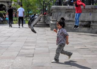 Young Girl Chasing Pigeons In Plaza de Armas (Zocalo), Guadalajara, Mexico