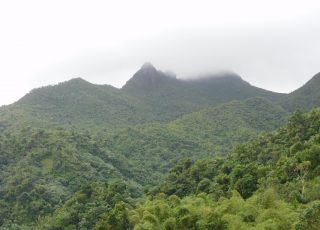 Mountains of El Yunque National Forest, Puerto Rico