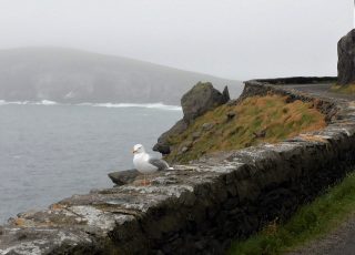 Narrow Mountain Road Winding Along Ireland’s Wild Atlantic Way