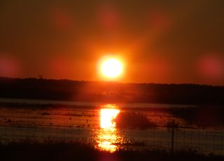 Sunset Over Payne’s Prairie