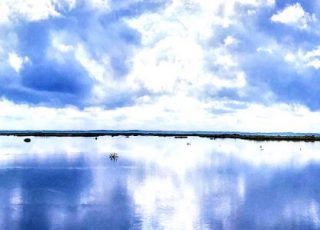 Panoramic View Of Summer Sky Reflected At Paynes Prairie Wetland