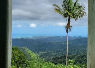 Mountains and Coast Of Puerto Rico, Viewed From El Yunque NP Observation Tower