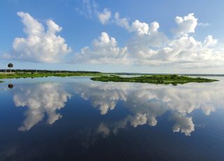 Clouds Reflected On A Hot Morning At Paynes Prairie Wetland